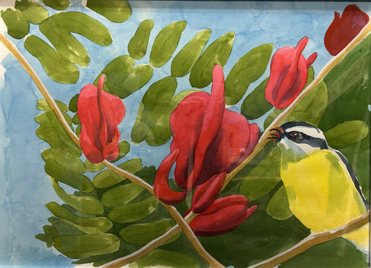 "Bwa Kwaib with Bananaquit"
